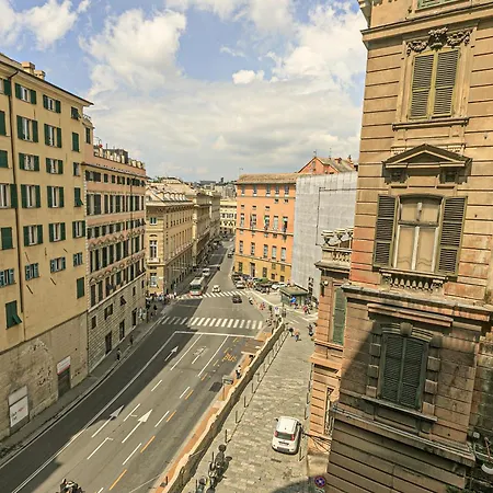 Dclass Acquario Chocolate * Genoa