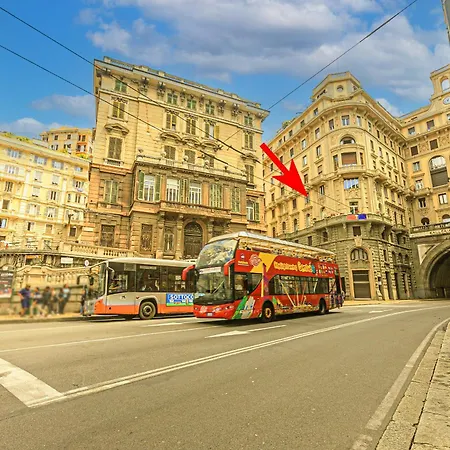 Dclass Acquario Chocolate *